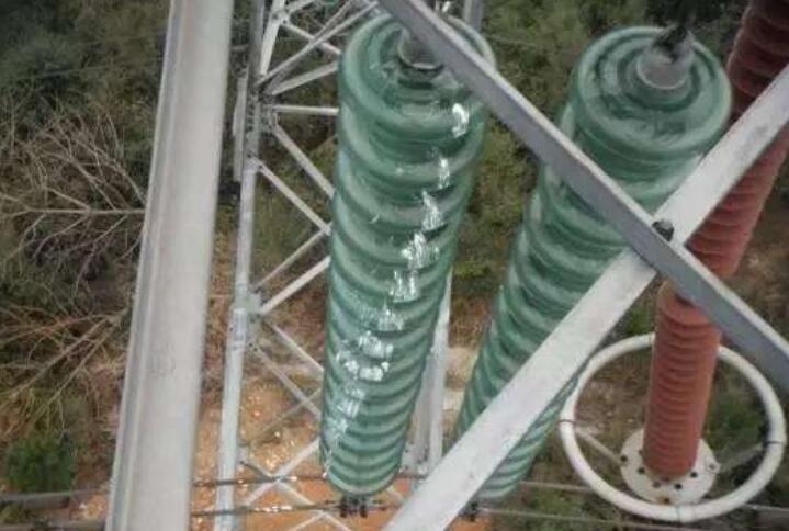 驅(qū)鳥(niǎo)器 驅(qū)鳥(niǎo)器